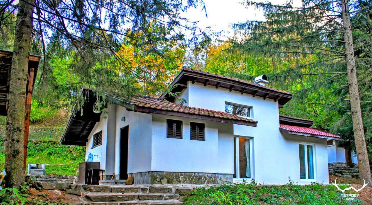 Пе́Трови Вили Ribarica Bagian luar foto
